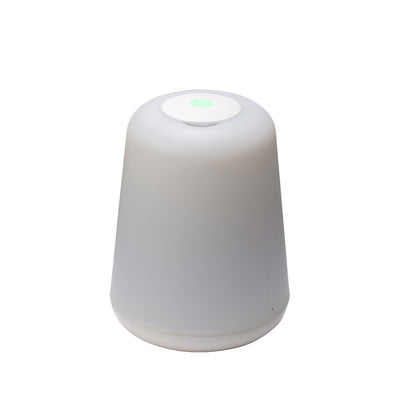 LAMPE D'AMBIANCE 2 EN 1