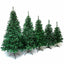 SAPIN DE NOËL TRADITION