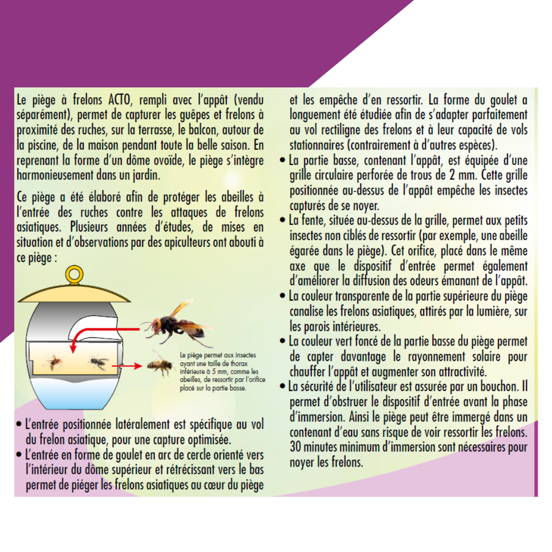 PIÈGE SPÉCIAL FRELONS ASIATIQUES (3)